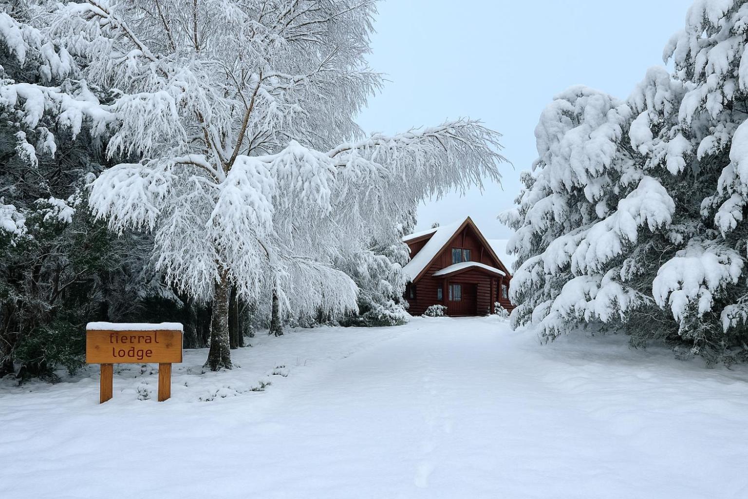 Totara Lodge - Unwind, Relax & Enjoy - Mt Lyford Eksteriør bilde